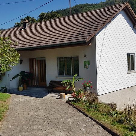 Les Noyers Du Wissbach Villa Willer-sur-Thur Ngoại thất bức ảnh