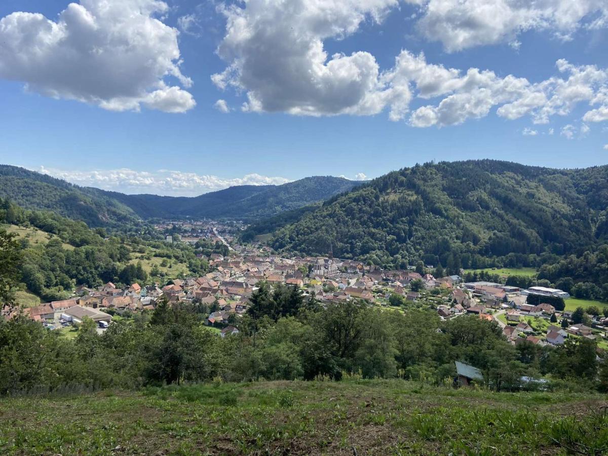 Les Noyers Du Wissbach Villa Willer-sur-Thur Ngoại thất bức ảnh