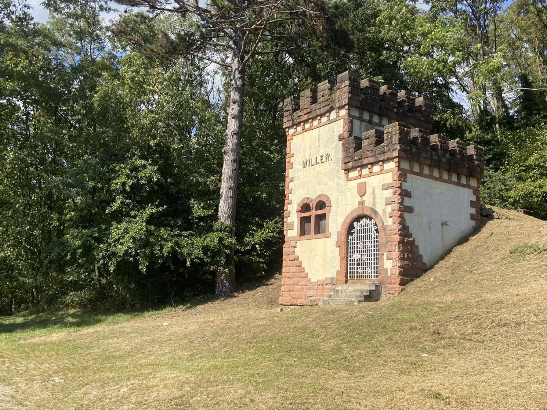 Les Noyers Du Wissbach Villa Willer-sur-Thur Ngoại thất bức ảnh